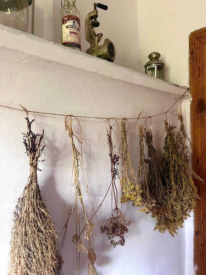 Agroturystyka U Koziolka Dlugowola Buitenkant foto