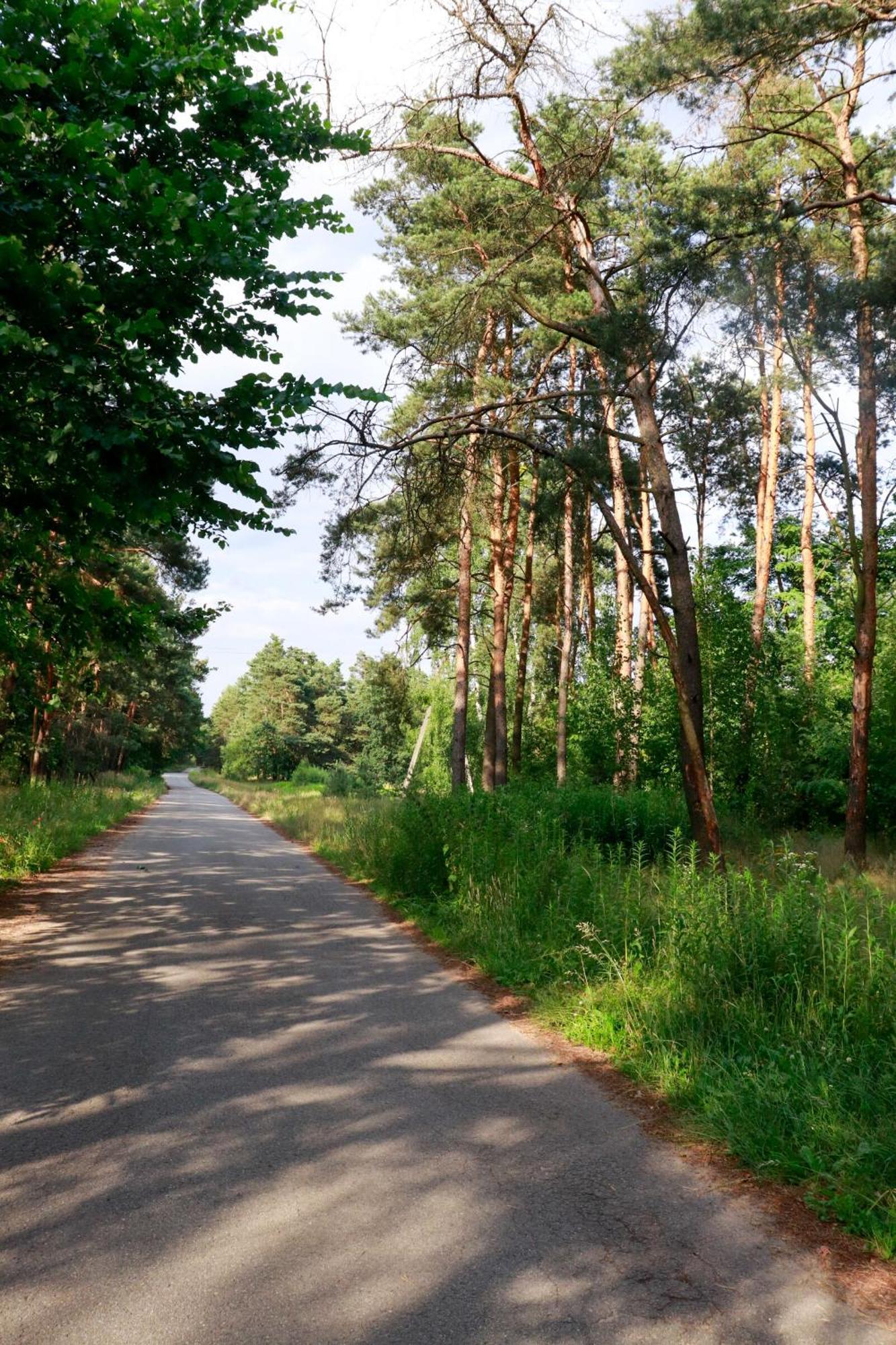 Agroturystyka U Koziolka Dlugowola Buitenkant foto